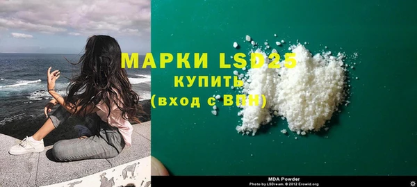 индика Володарск