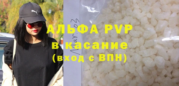эйфоретик Вяземский