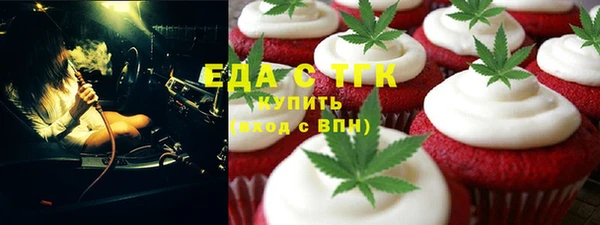 индика Володарск