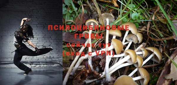 дурь Волоколамск