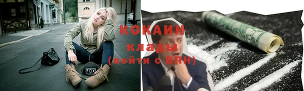 ГАЛЛЮЦИНОГЕННЫЕ ГРИБЫ Верея