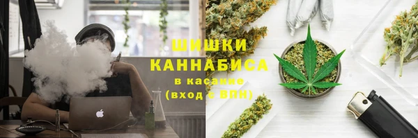 индика Володарск