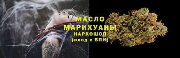 индика Володарск