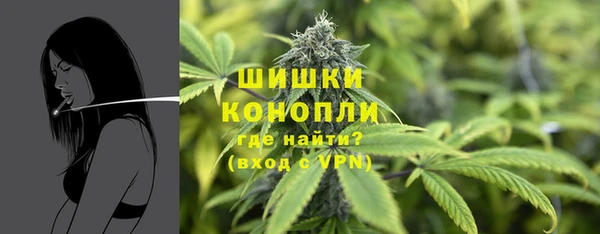 дурь Волоколамск