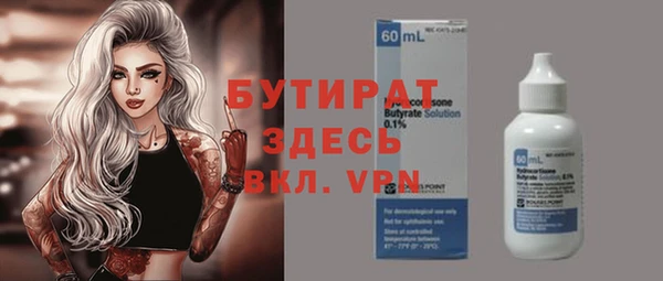 индика Володарск