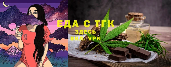 индика Володарск