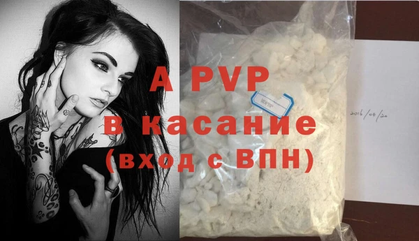 индика Володарск