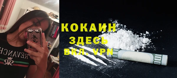 эйфоретик Вяземский