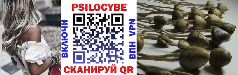 где продают   Зверево  Галлюциногенные грибы мицелий 